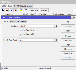 005-ip-dhcp-client.png